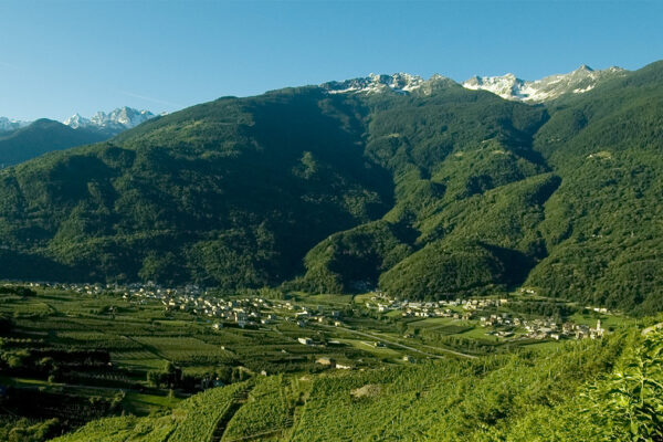 gal valtellina valle dei sapori