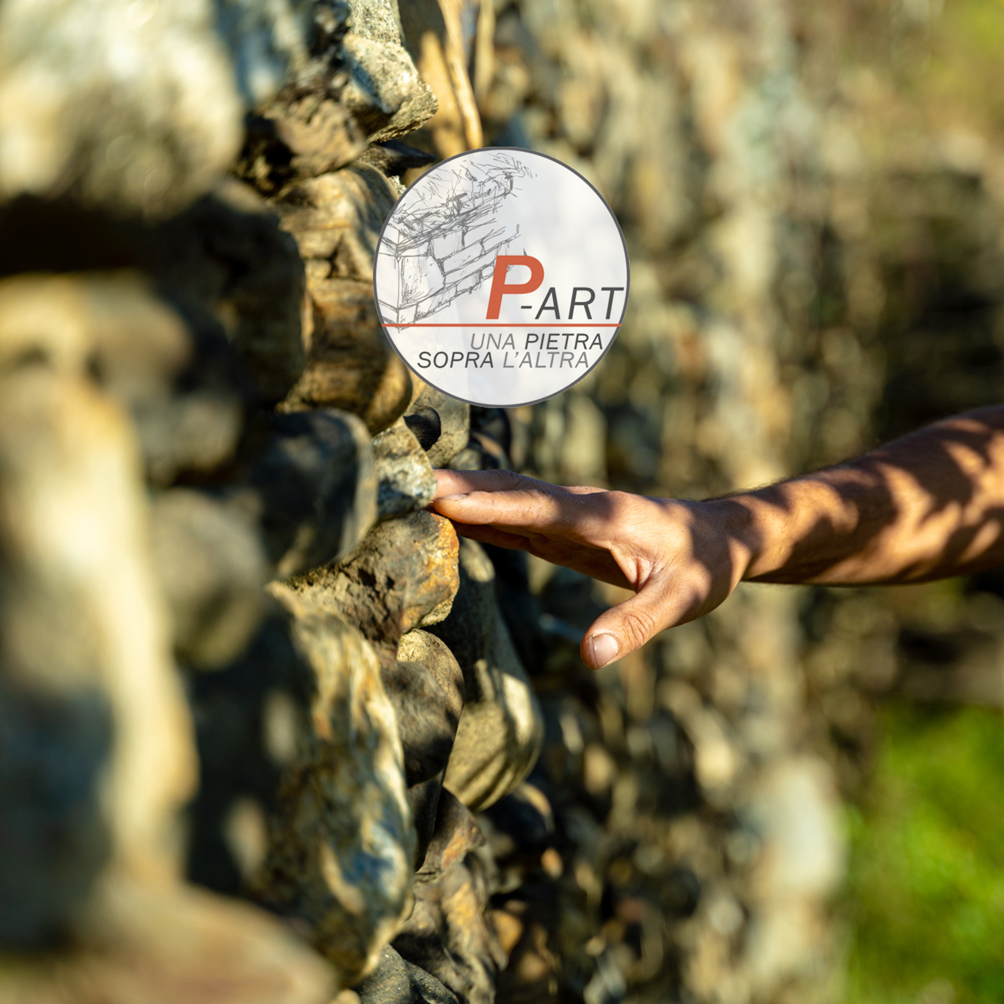 p-art-pagina-progetti Progetto P-art